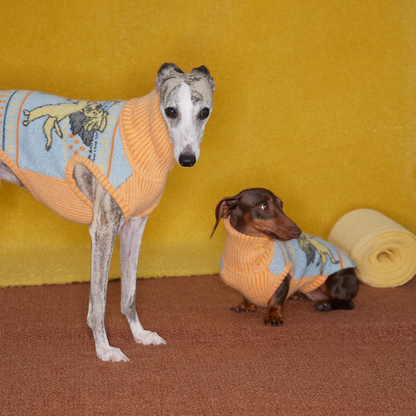 Angel Pattern Knitted Dog Jumper – Orange and Blue
