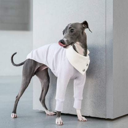 Snap Button Dog Shirt – Grey or Purple