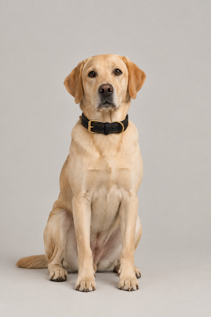 Double-stitched leather dog collar – view 5