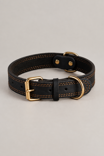 Double-stitched leather dog collar in Black