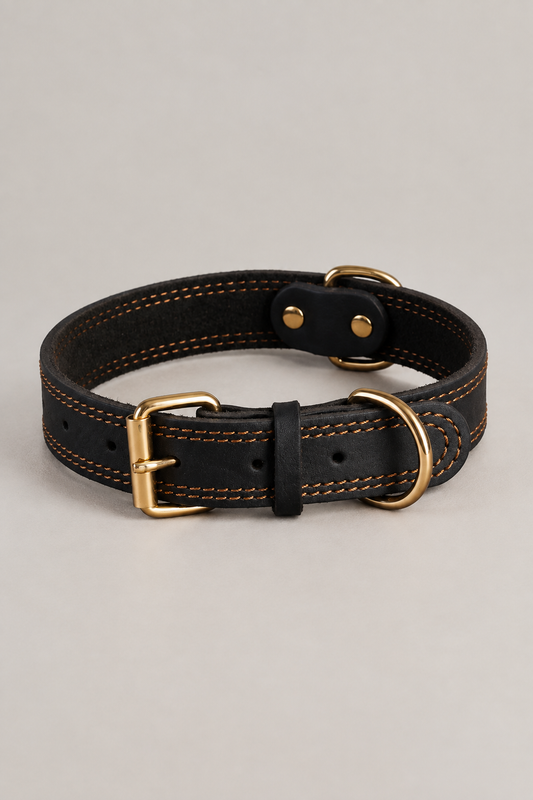 Double-stitched leather dog collar in Black