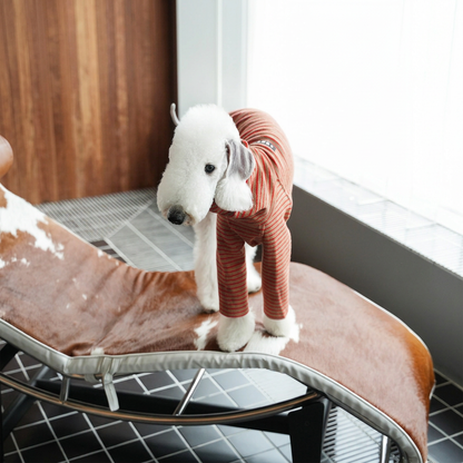 White dog on a lounge chair in the brown and red-striped long-sleeved Autumn Stripes style, distinct from the vest options currently listed.