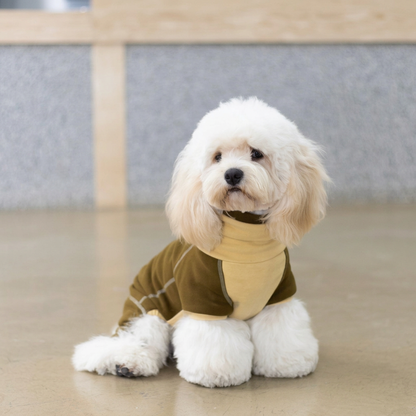 Ginger Chestnut Four-Leg Dog Hoodie – Brown and Cream