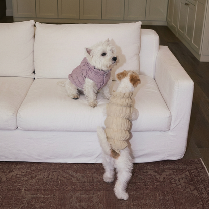 Ruffle Dog Vest – Lavender Mousse, Beige or Purple