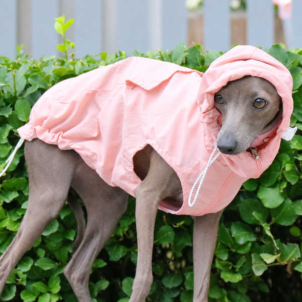 Lightweight Waterproof Sun Vest for Italian Greyhounds and Whippets – Thin Summer Dog Vest, S to 4XL