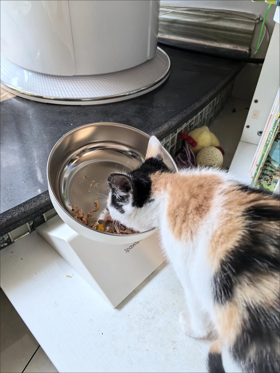 Height-Adjustable Raised Pet Bowl - 304 Stainless Steel Bowl on Elevated Stand for Dogs and Cats