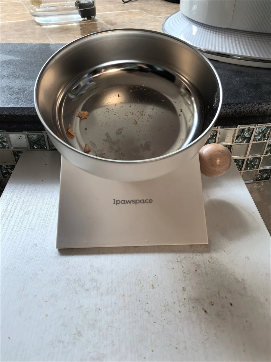 Height-Adjustable Raised Pet Bowl - 304 Stainless Steel Bowl on Elevated Stand for Dogs and Cats