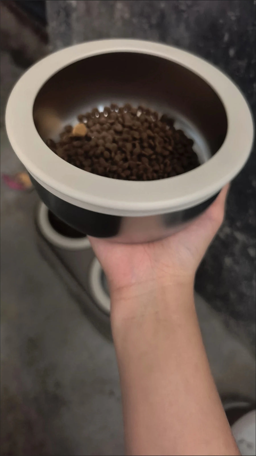 Tilted Double Pet Bowl with Removable Stainless Steel Bowls