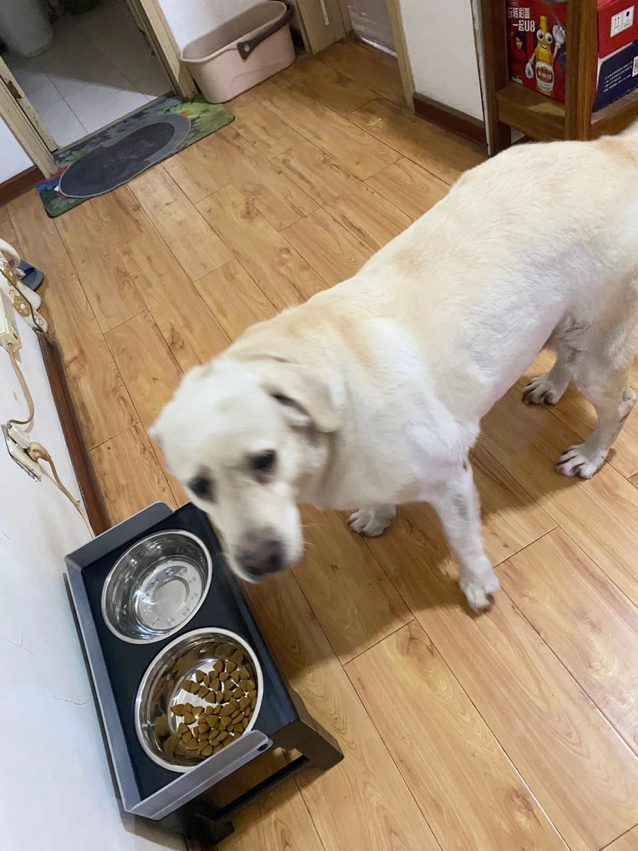 6-Height Adjustable Dog Bowl Stand - Raised Double Feeder with Slow Feeder Option for Large Dogs
