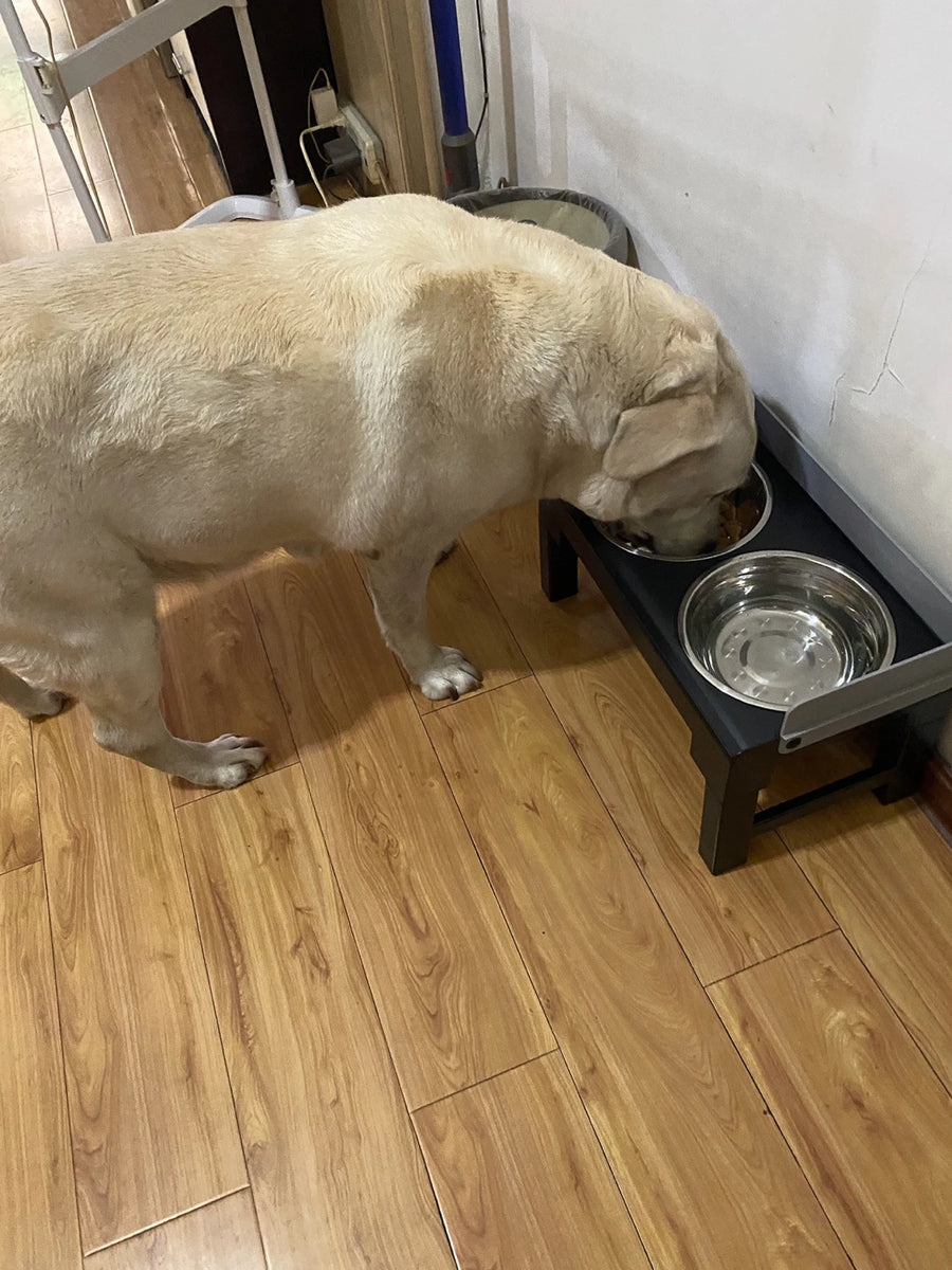 6-Height Adjustable Dog Bowl Stand - Raised Double Feeder with Slow Feeder Option for Large Dogs