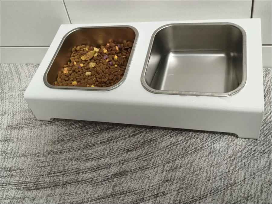 Raised Stainless Steel Double Dog Bowl - Elevated Food and Water Stand for Small Dogs and Cats