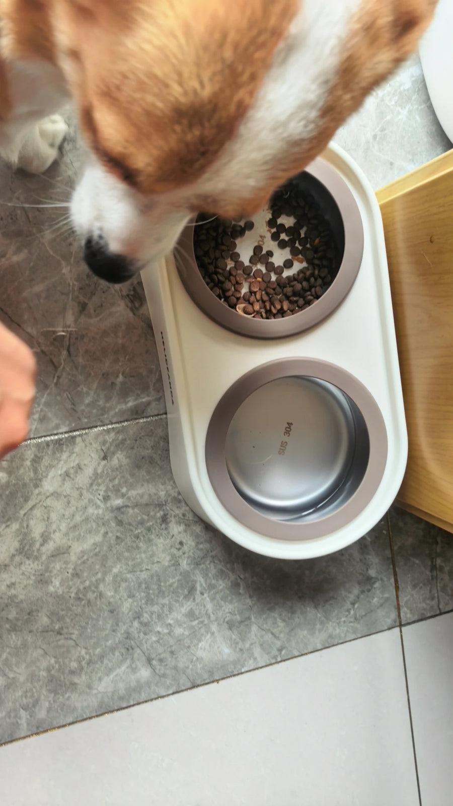 Tilted Double Pet Bowl with Removable Stainless Steel Bowls
