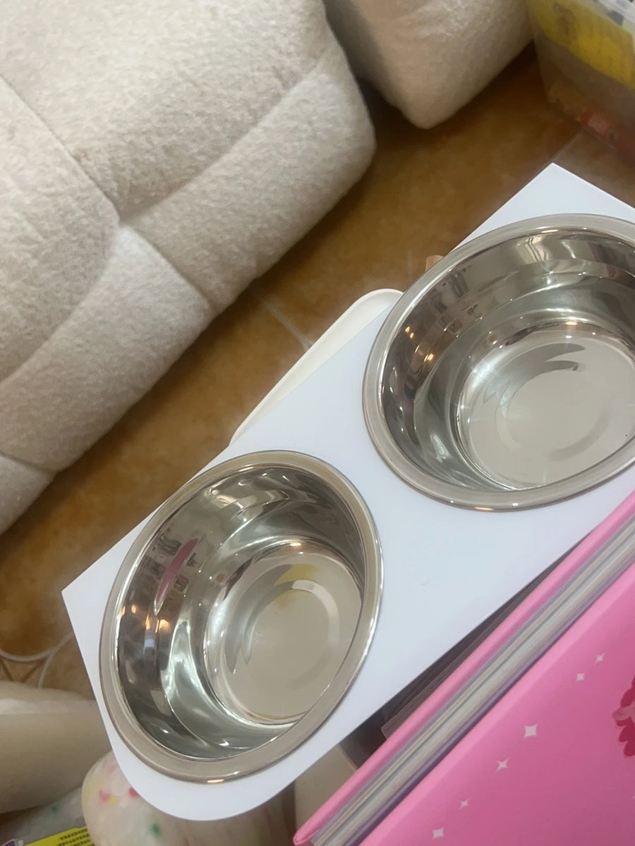Stainless Steel Pet Bowl Set with Stand - Separate Food and Water Bowls for Small Dogs and Cats