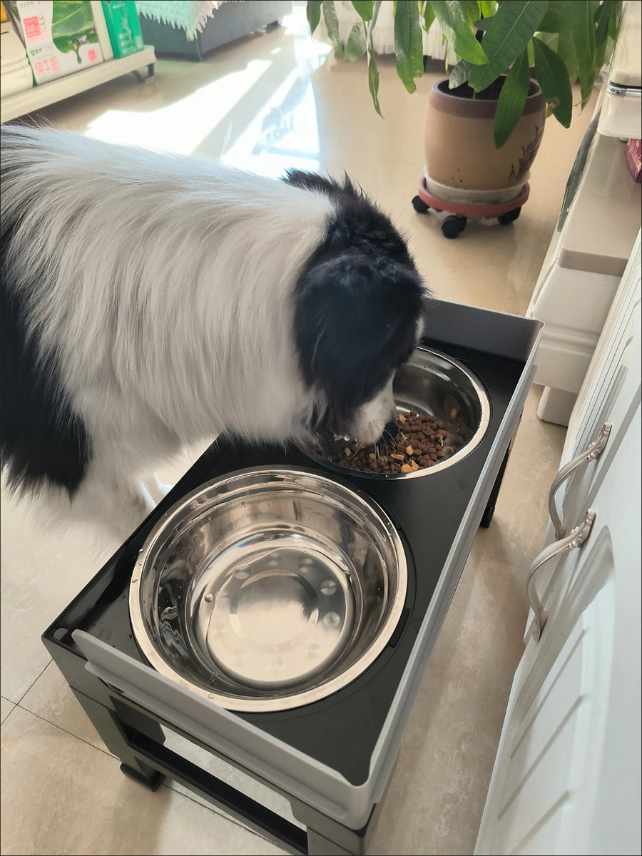 6-Height Adjustable Dog Bowl Stand - Raised Double Feeder with Slow Feeder Option for Large Dogs