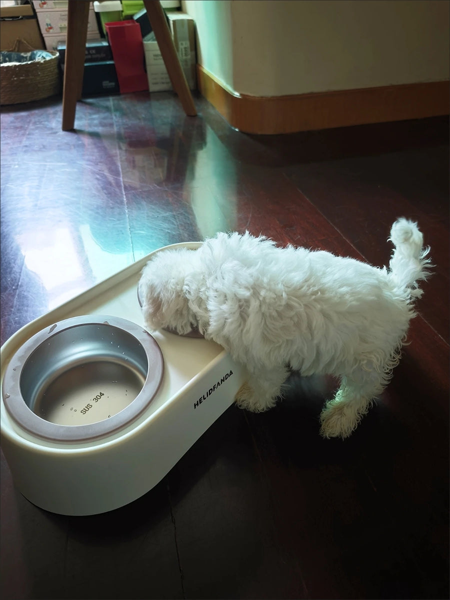 Tilted Double Pet Bowl with Removable Stainless Steel Bowls