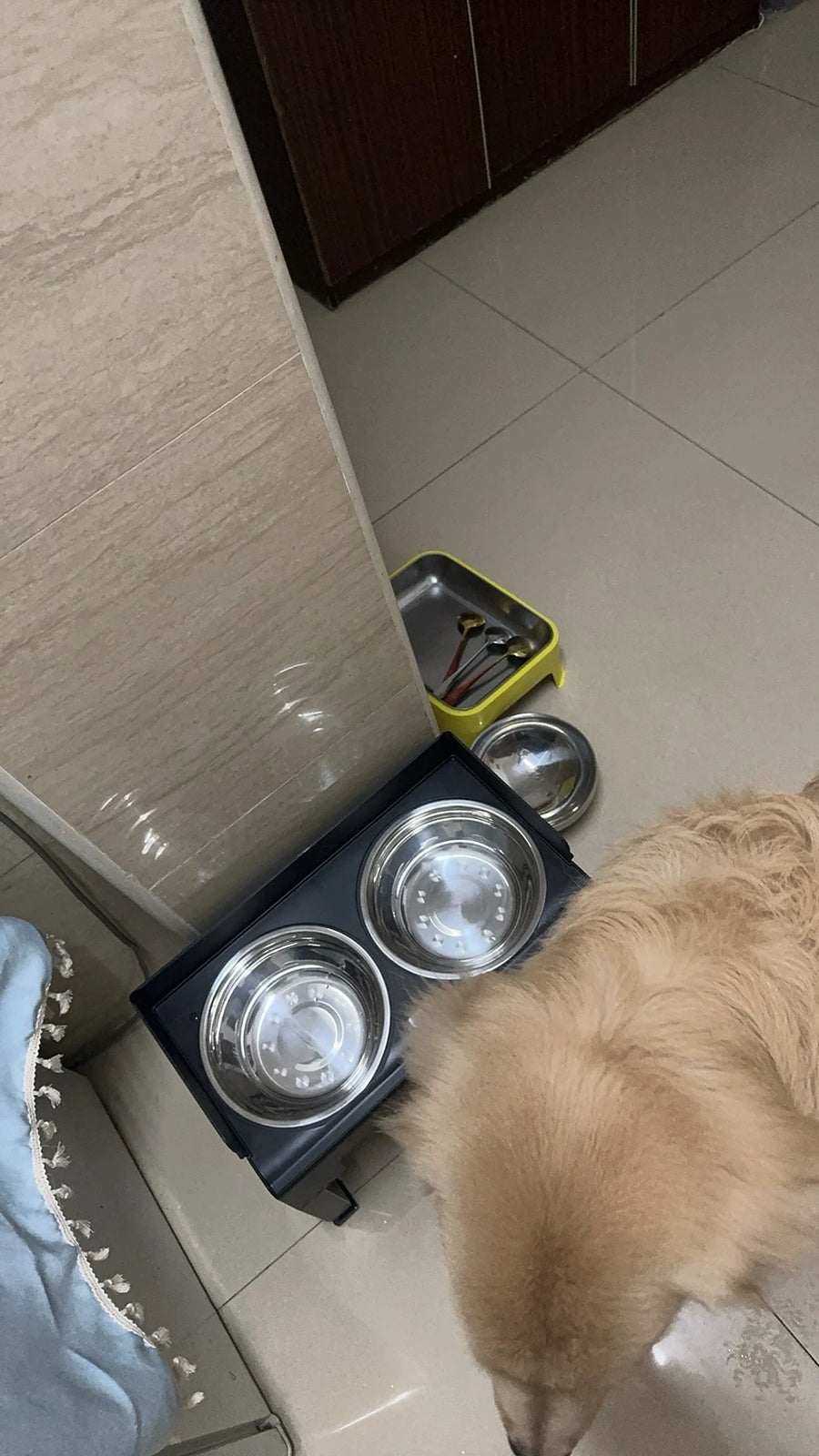 6-Height Adjustable Dog Bowl Stand - Raised Double Feeder with Slow Feeder Option for Large Dogs