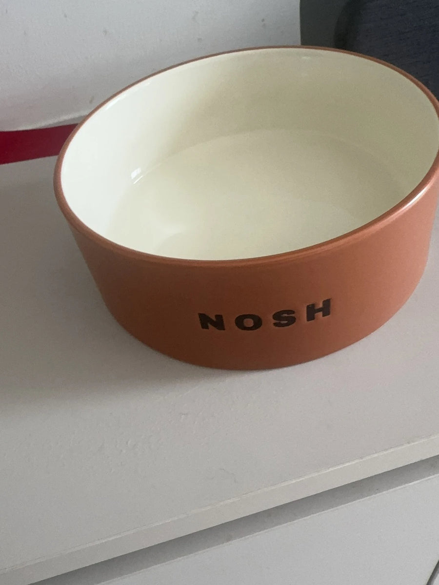 Ceramic Dog Bowl - Wide, Heavy Food and Water Bowl for Dogs and Cats, Standard or Raised