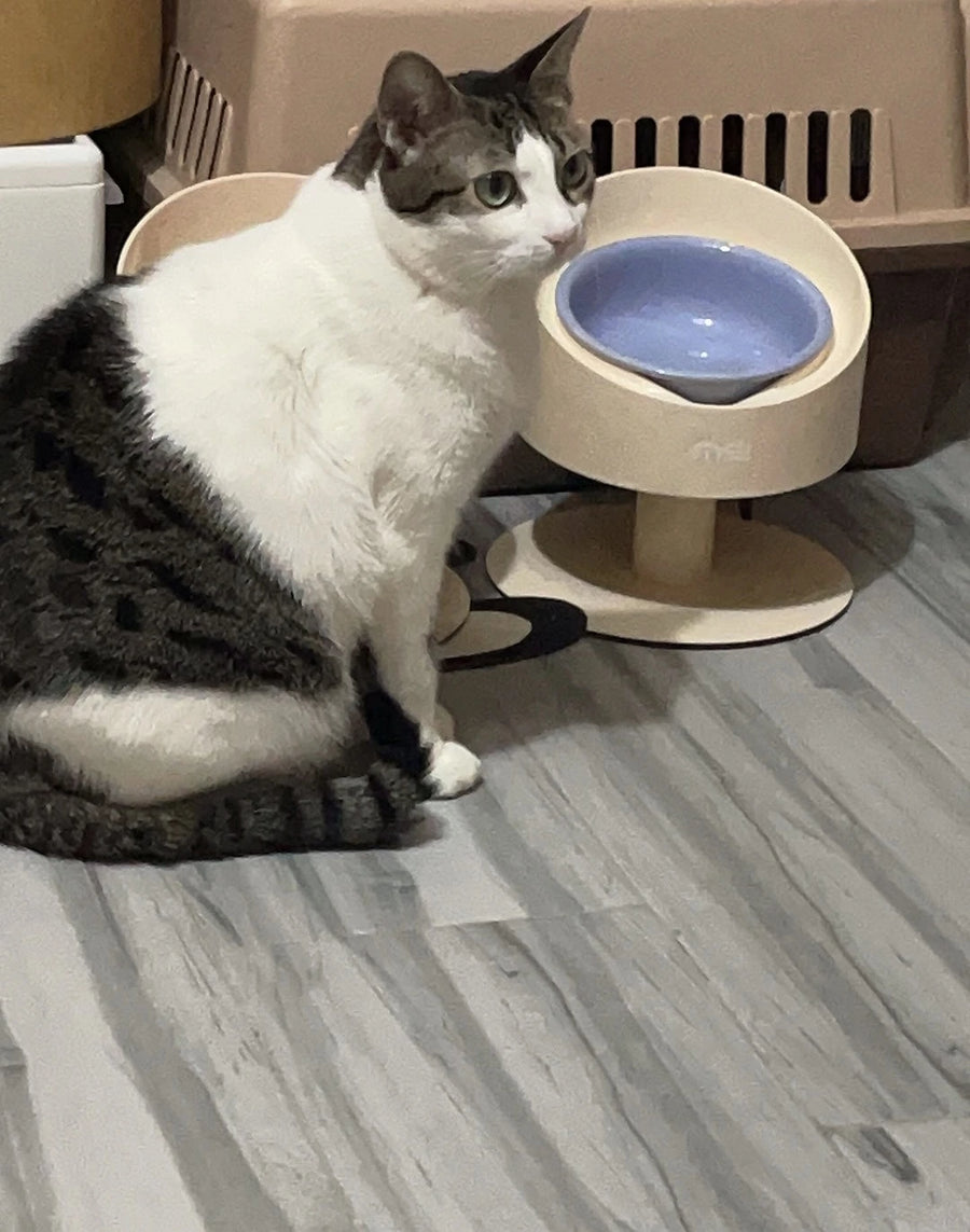 Sunflower Ceramic Pet Bowl - Height-Adjustable Raised Stand for Cats and Small Dogs, Pastel Colours