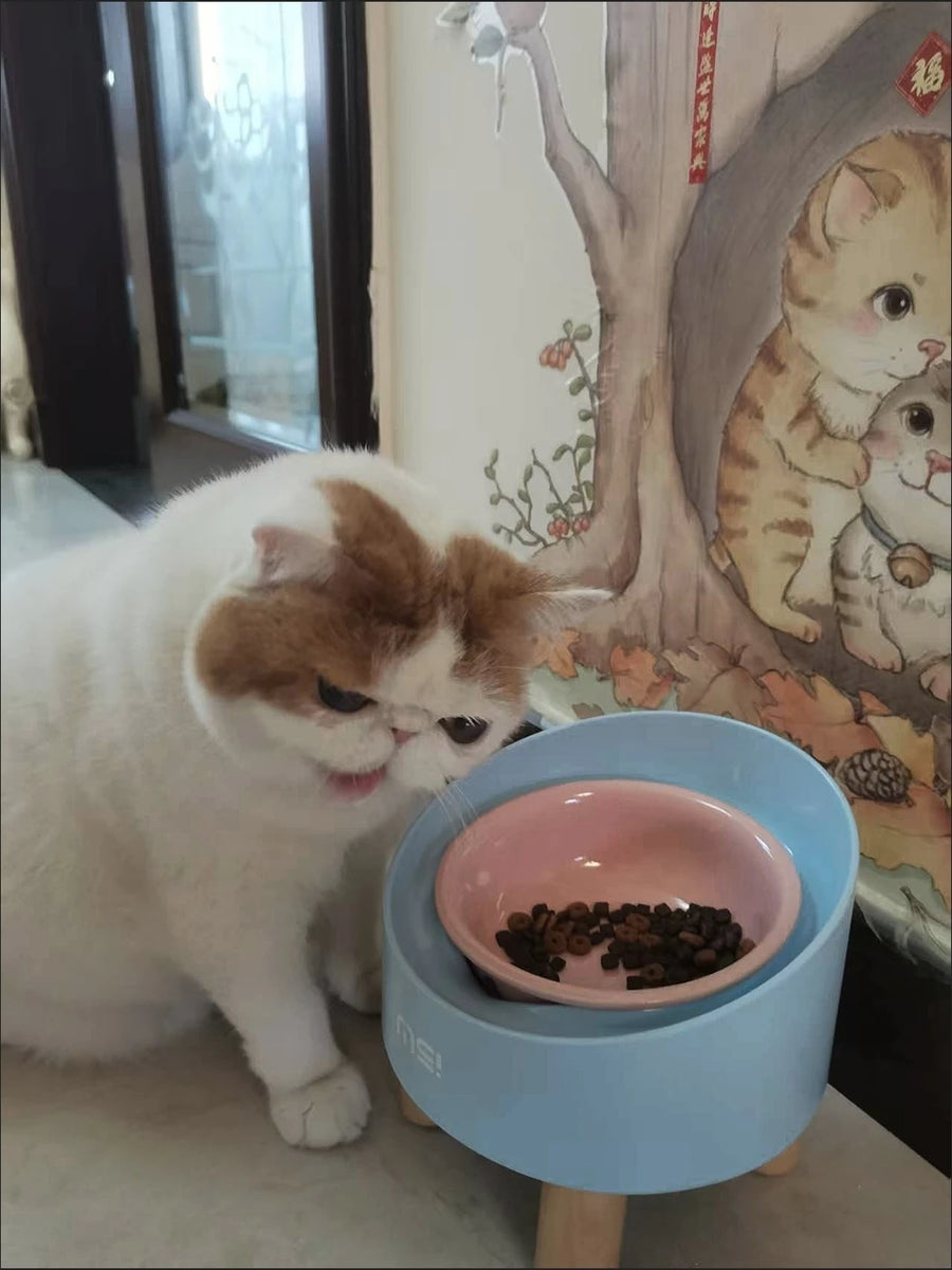 Tilted Raised Ceramic Cat Bowl - Angled Pet Bowl on a Footed Stand for Cats and Small Dogs, Pastel Colours