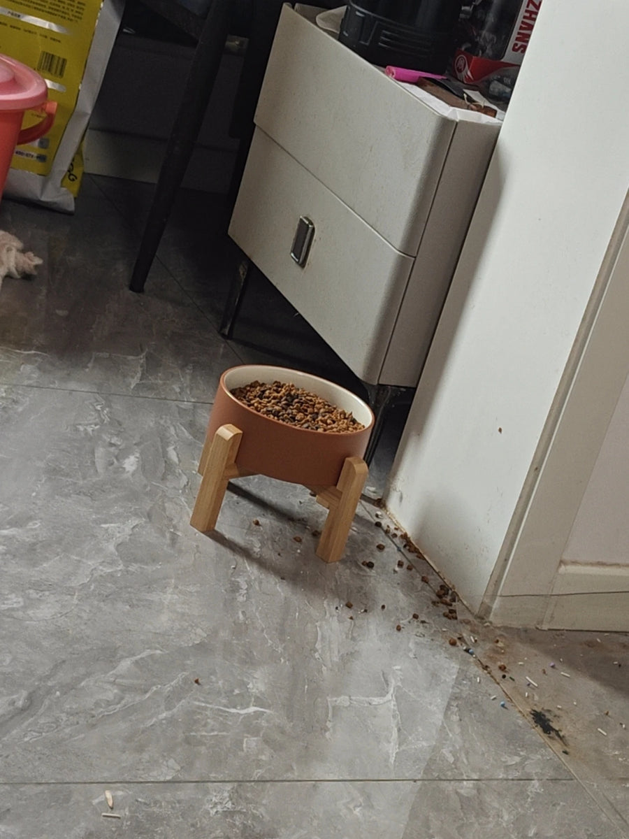 Ceramic Dog Bowl - Wide, Heavy Food and Water Bowl for Dogs and Cats, Standard or Raised