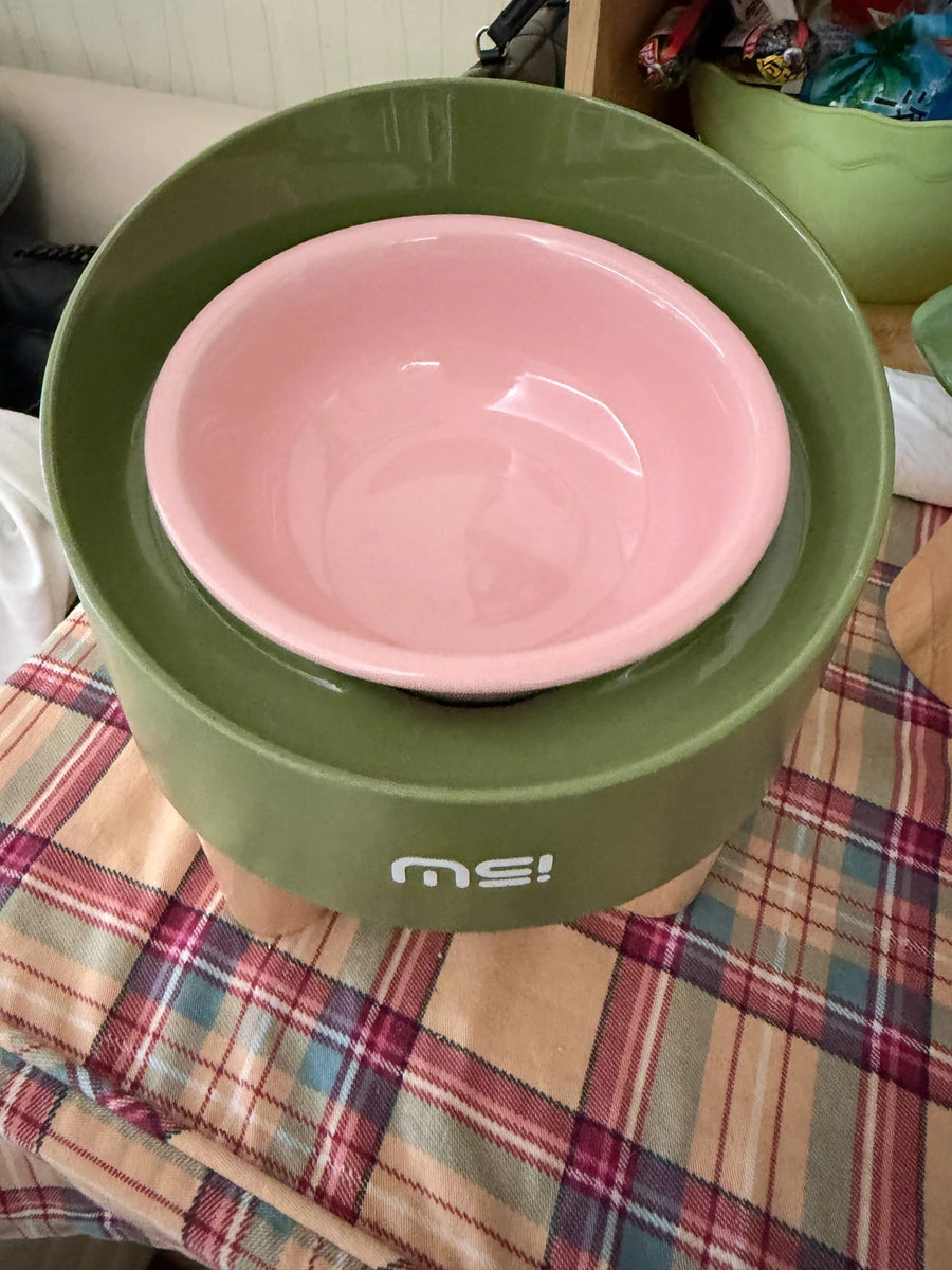 Tilted Raised Ceramic Cat Bowl - Angled Pet Bowl on a Footed Stand for Cats and Small Dogs, Pastel Colours
