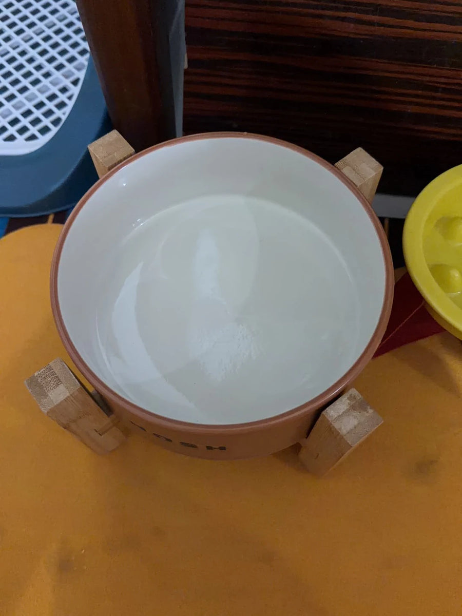Ceramic Dog Bowl - Wide, Heavy Food and Water Bowl for Dogs and Cats, Standard or Raised