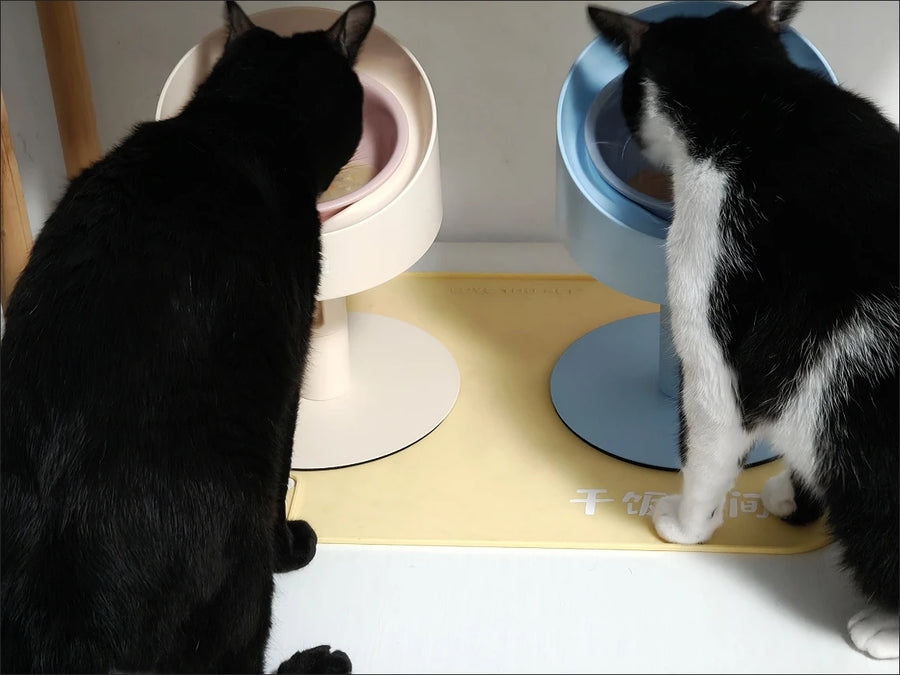 Sunflower Ceramic Pet Bowl - Height-Adjustable Raised Stand for Cats and Small Dogs, Pastel Colours