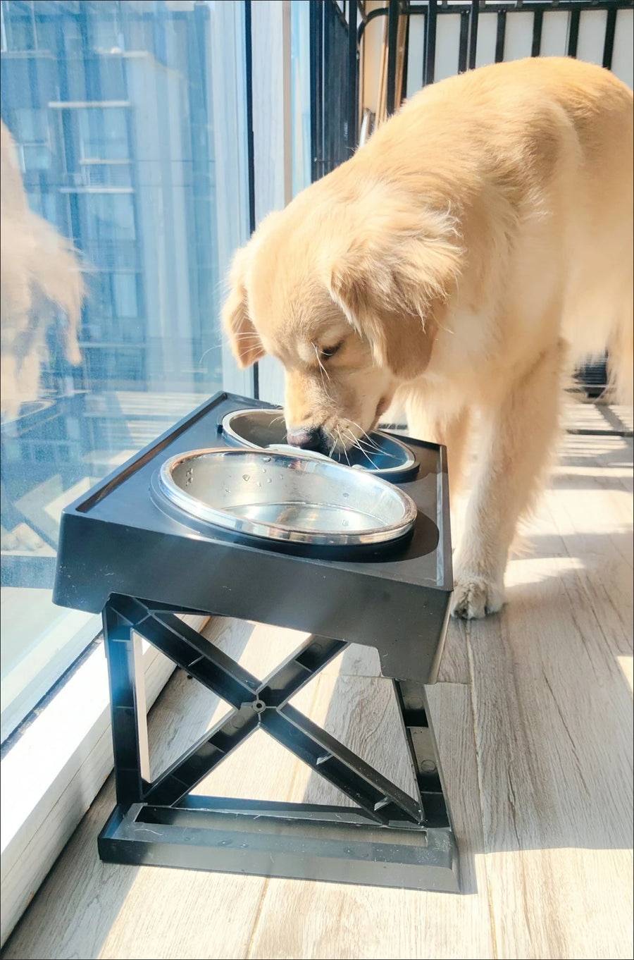 Adjustable Raised Dog Bowl Stand - Elevated Double Feeder with Stainless Steel Bowls for Medium and Large Dogs