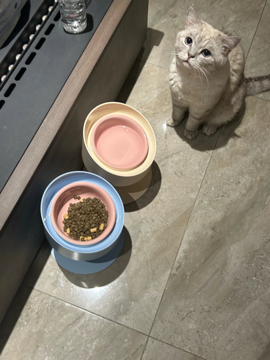 Sunflower Ceramic Pet Bowl - Height-Adjustable Raised Stand for Cats and Small Dogs, Pastel Colours
