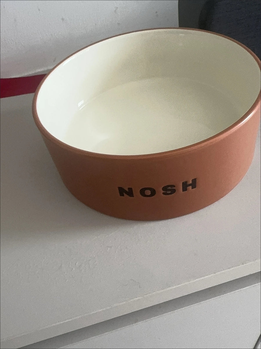 Ceramic Dog Bowl - Wide, Heavy Food and Water Bowl for Dogs and Cats, Standard or Raised
