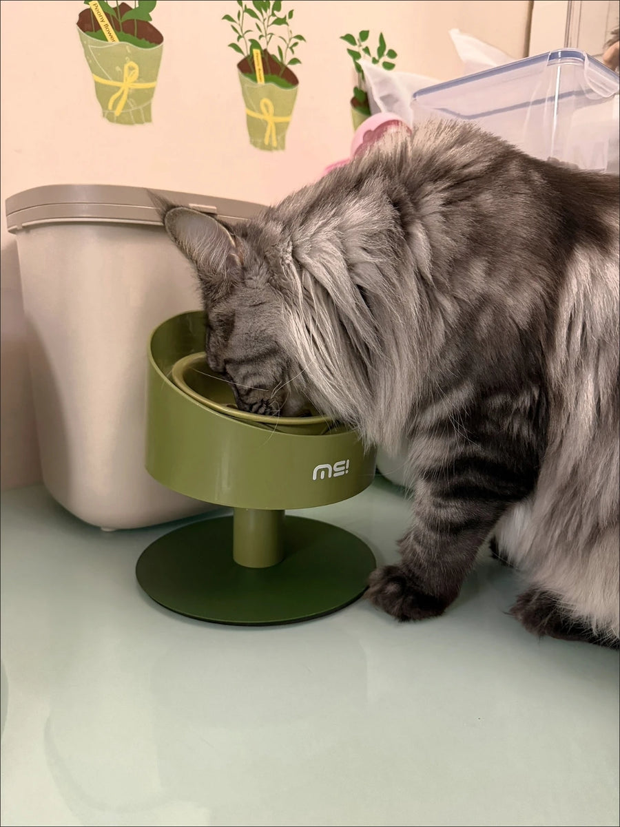 Sunflower Ceramic Pet Bowl - Height-Adjustable Raised Stand for Cats and Small Dogs, Pastel Colours