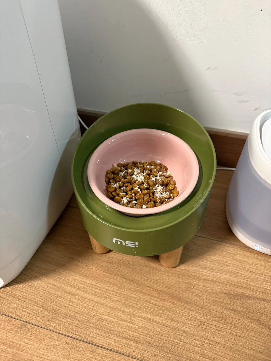 Tilted Raised Ceramic Cat Bowl - Angled Pet Bowl on a Footed Stand for Cats and Small Dogs, Pastel Colours