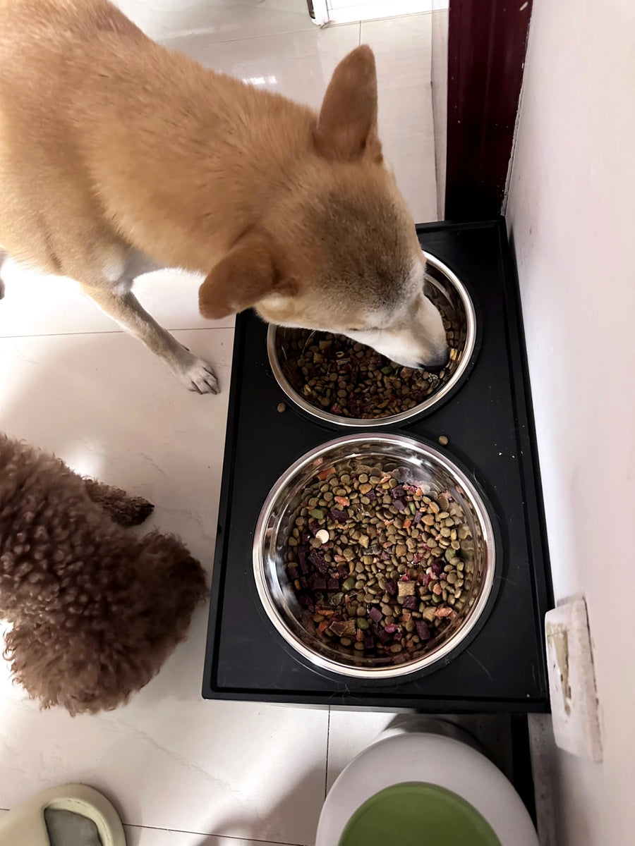 6-Height Adjustable Dog Bowl Stand - Raised Double Feeder with Slow Feeder Option for Large Dogs