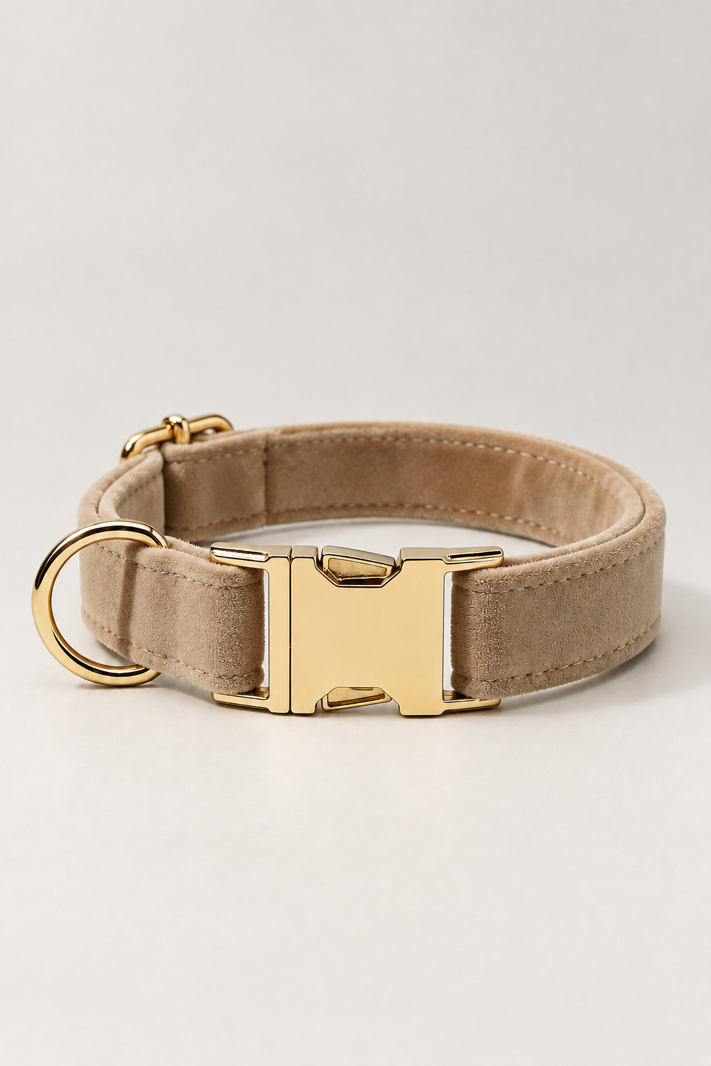 Velvet dog collar with gold buckle in Khaki