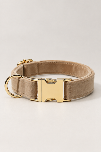 Velvet dog collar with gold buckle in Khaki