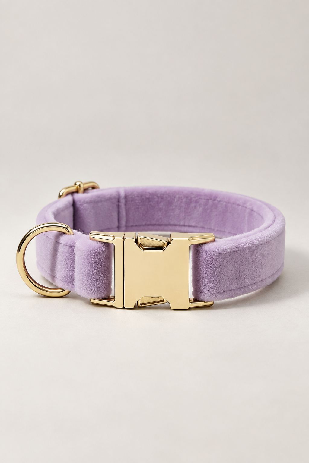 Velvet dog collar with gold buckle in Lilac