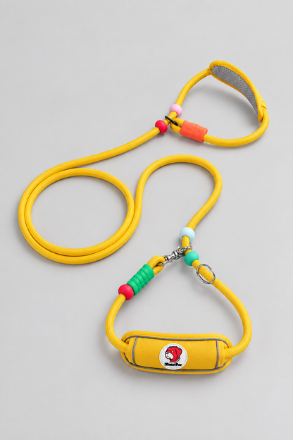 Padded nylon slip lead in Marigold
