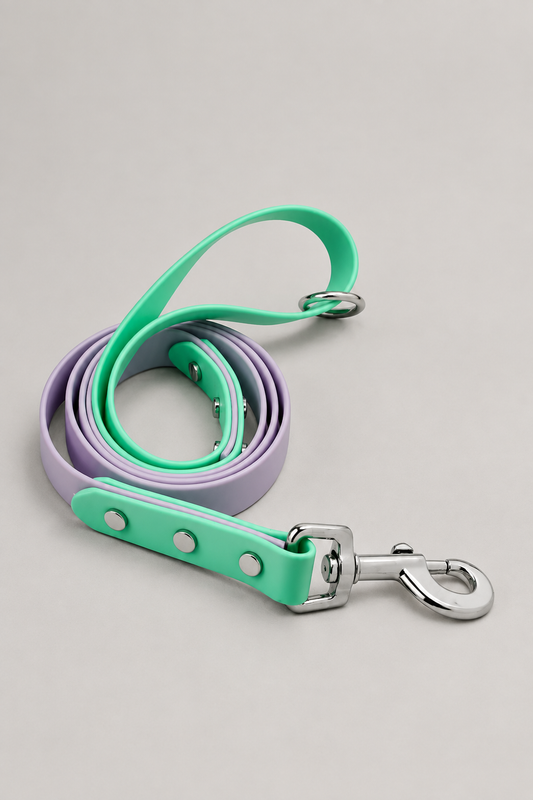 Two-tone PVC dog lead in Violet & Lime