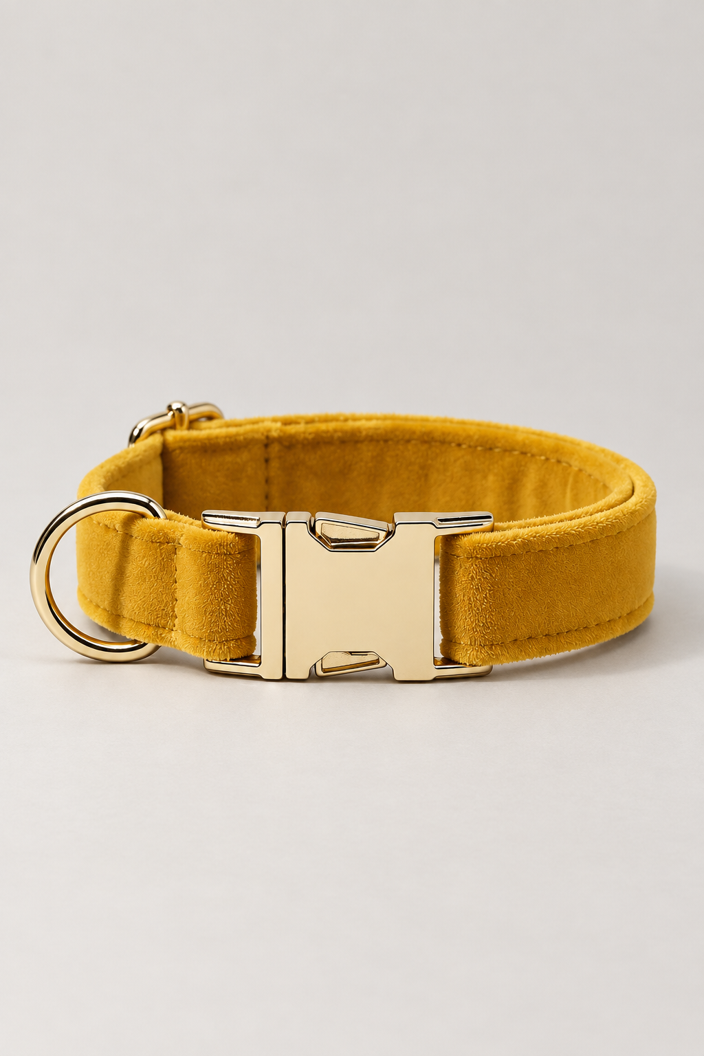 Velvet dog collar with gold buckle in Mustard