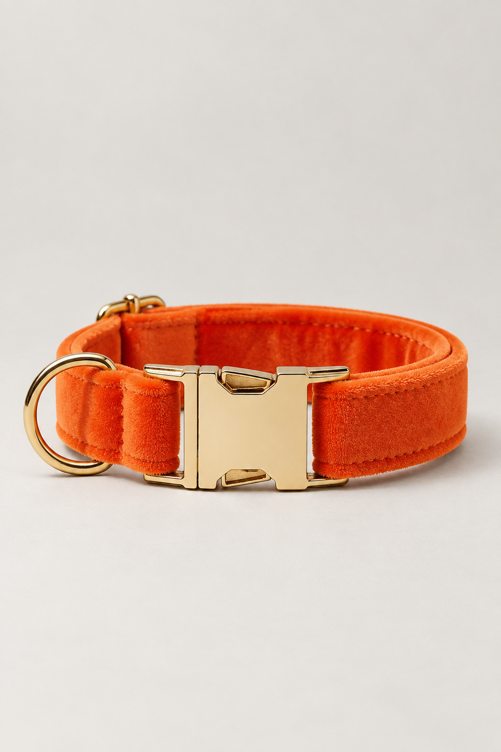Velvet dog collar with gold buckle in Orange