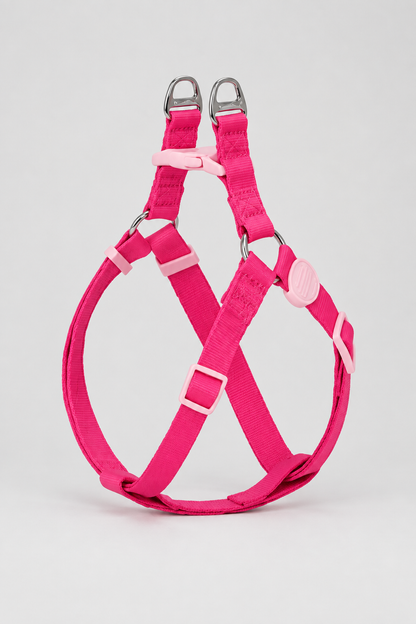 Rope dog collar and lead set in Rose