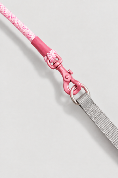 Braided rope dog lead – view 3