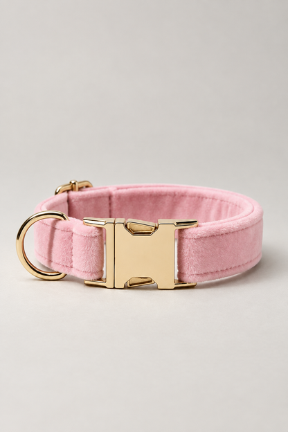 Velvet dog collar with gold buckle in Pink