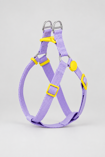 Rope dog collar and lead set in Marigold