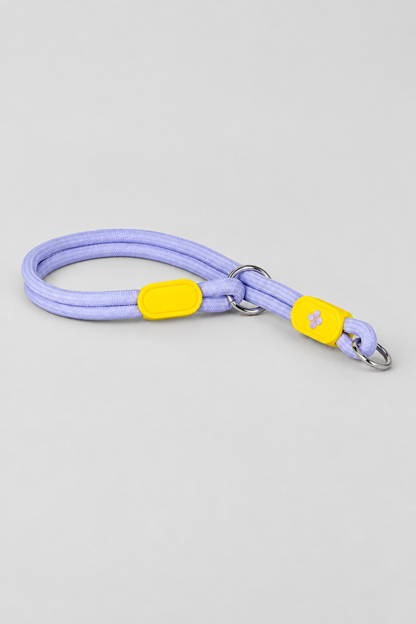 Slip Collar Set – Nylon Slip Collar with Matching Lead & Harness Options