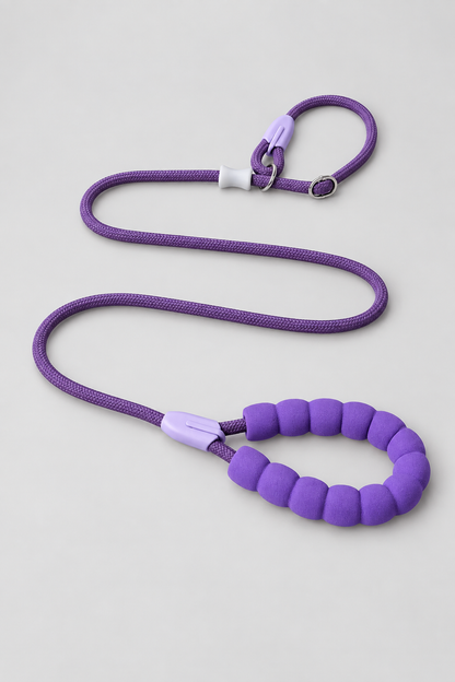 Wide nylon slip lead in Oat