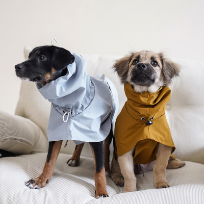 Quickwear two-dog main photo