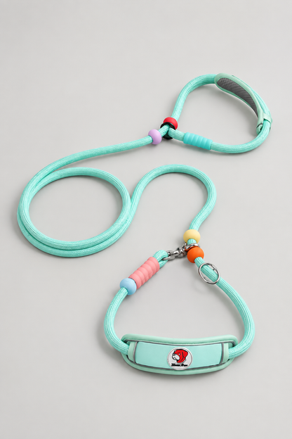 Padded nylon slip lead in Mint