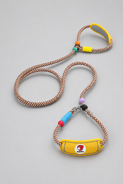 Padded nylon slip lead in Amber