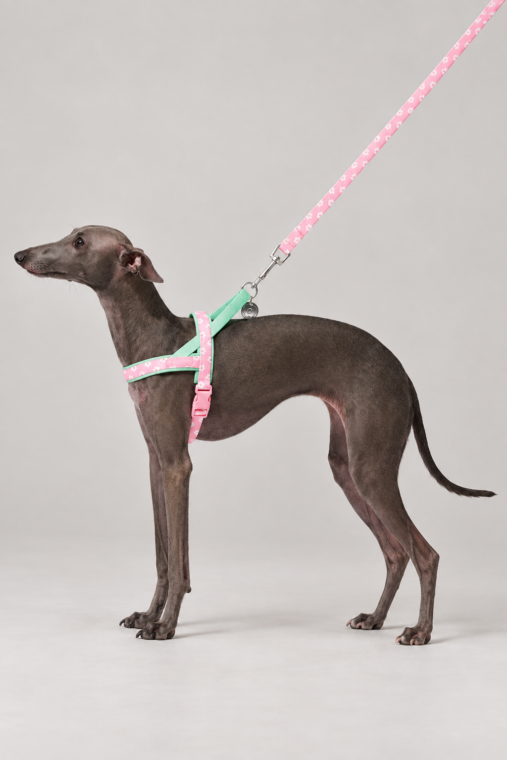 Floral dog harness and lead set – view 3